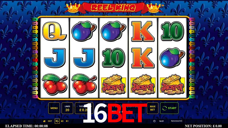 Sports Statistics 16bet